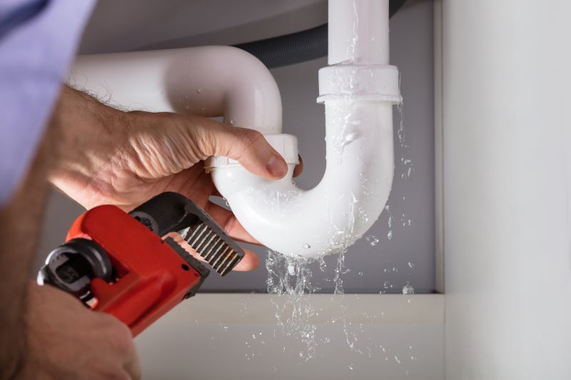 How Professional Leak Detection Helps Prevent Water Damage